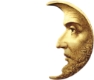 Brasserie De Halve Maan